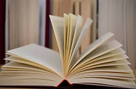 Romanzo d'appendicite